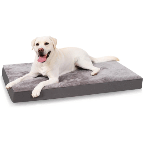 KSIIA Orthopädisches Hundebett XL – Waschbar, flauschig, 105×70×8 cm, Dunkelgrau